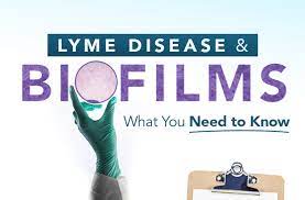 Biofilms Lyme Disease What You Need To Know Rawlsmd
