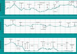 Sydney Festival Marathon 2014 2015 Date Registration