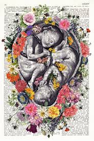 Flowered Twins Dictionary Art Print Twin Fetus Womb Uterus Anatomy Print Mother Of Two New Mom Gift Baby Shower Floral Anatomy 186 Arte De Anatomia Diccionario De Arte Arte De Nacimiento