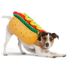 Thrills And Chills Halloween Hot Dog Pet Costume Size X