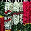 Collection of garland flowers for marriage inspiration latest wedding garlands Https Encrypted Tbn0 Gstatic Com Images Q Tbn And9gctxdpqau5f3lx9ywpqyqifey2 Bc4s1j40iaffxlzgjnlswmct8 Usqp Cau