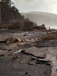 Beachcombing is popular here, and the park is reputedly a good place to find glass floats. Cape Lookout We Re Talking 100 Feet Or More Of Beach Loss Since The 1980s Katu
