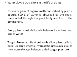 In an attempt to replenish body fluids, distilled water, equal to the volume of blood lost, is transferred directly into one of his veins. Water And Plant Cells Syed Abdullah Gilani Ppt Download