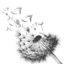 Dandelion Flying Flower Dandelion Flying Flower Black Png Transparent Clipart Image And Psd File For Free Download In 2020 Dandelion Art Dandelion Drawing Watercolor Flower Background