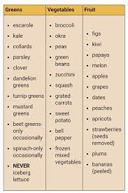 Weekly bearded dragon food chart. Outstanding Bearded Dragon Size And Weight Chart Bearded Dragon Food Baby Bearded Dragon Bearded Dragon Diet