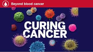 Welcome to Sean Conneen's MWOY Fundraising Page!