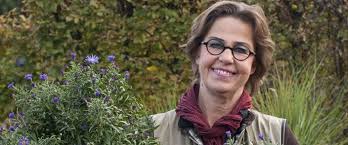 Pin Auf Schloss Ippenburg D