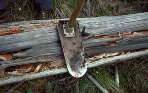 Reforestation Toolbox