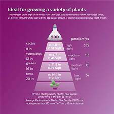 Natural light often falls short on giving crops what they need to grow and flourish. Philips Led 532969 Par38 Plant Grow Light Bulb 1200 Lumen 5000 Kelvin 16 Watt E26 Medium Screw Base 1 Pack White Pricepulse