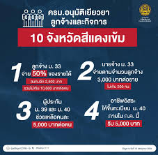 ตรวจสอบสิทธิ์เยียวยาม 33 (twitter) ณรงค์โชควัฒนา อาการคนเป็นโควิด โบวี่อัฐมา พลอยเฌอมาลย์. Q3hevm5tzmhukm