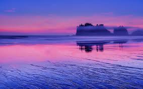 Pink floyd the wall empty spaces movie the flowers elclon music minimalism. Usa Washington Pacific Ocean Sea Water Pink Sunset Clouds Blue Wallpaper Nature And Landscape Wallpaper Better