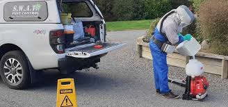 A chat with the swat team pest solutions. Swat Pest Control Pest Control Services
