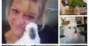 Styx River Parrot Rescue non profit