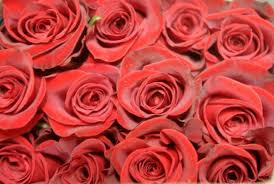 We did not find results for: Bargainista Best Ways To Shop And Save On Valentine S Day Gifts