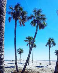 Check spelling or type a new query. From 25 Minutes To 6 Hours 25 Beaches Near Charlotte Nc Off The Eaten Path