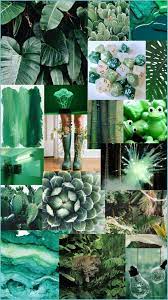 Blackness in terms of cultural background can no longer be denied in order to appease or please white or black people. Green Aesthetic Background Enwallpaper