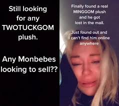 #duet with @hollilambirth7 pls I will give them a good home. I want at  least one plush! 😭#twotuckgom #monstax #Monbebe #kpop #monsta_x_514