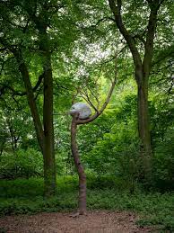 Maybe you would like to learn more about one of these? Giuseppe Penone Marian Goodman