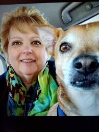 How can I stop my 2 yr old chi peeing