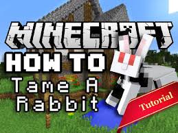 However, there can be variations depending upon the situation, breed, type when i first got my rabbit, i was worried that how will i save it from predators, specifically cats, as i already had a cat. Minecraft How To Tame Breed Bunny Rabbits Youtube