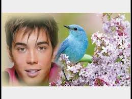 ДИМАШ S.O.S. "Ангел Грегори" ❤ DIMASH The Story "Angel Gregory"