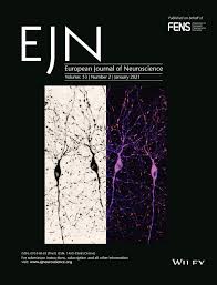 Weekend routine with my 4 year old | anne v. European Journal Of Neuroscience Accepted Articles