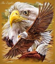 Pin By Douglas King On Eagles Eagle Drawing Eagle Pictures Eagle Art
