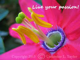 Live Your Passion A Life Without Passion Is A Life Without Color Catherine L Taylor Quotes Photograph Live For Yourself Inspirational Quotes Affirmations