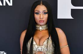 What happened with Megan Thee Stallion? - Quora