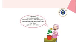 Kunci jawaban buku paket tematik sd kelas 5 tema 2 udara bersih bagi kesehatan subtema 1 cara tubuh mengolah udara bersih pembelajaran 3 halaman 24 buku bahasa jawa sd tantri basa kelas 5 kurikulum 2013 edisi revisi 2018. Kunci Jawaban Tema 1 Kelas 6 Halaman 17 18 19 20 21 22 23 24 25 26 27 28 29 30 Tumbuhan Sahabatku Tribun Pontianak