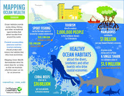 What makes it worth $56 billion? Healthy Coral Reefs Are Good For Tourism And Tourism Can Be Good For Reefs World Economic Forum