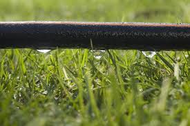 Image result for water irrigation