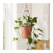 Buy Furniture Home Accessories Online In Qatar Hanging Plant Holder Hanging Plants Plant Holders