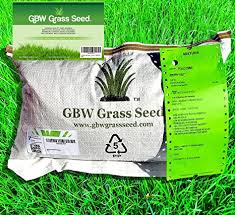 Ez seed patch and repair sun and shade scotts ez seed patch & repair sun and shade scotts ez seed patch & repair sun and shade is a revolutionary seeding mix that guarantees seeding success. 1kg Grass Seed Covers Up To 55 M2 590 Ft2 New Lawns Premium Quality Seed Fast