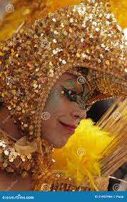 Gay in gold editorial stock image. Image of celebration - 31957964
