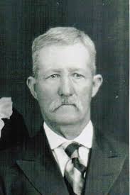 The work of some of my ancestors: turpentine farming