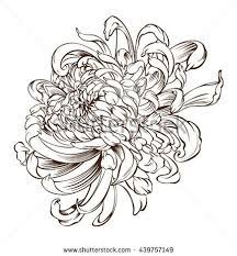 Japanese Flower Tattoo Chrysanthemum Flower Blossoms Stock Vector 439757149 Shutterstock Chrysanthemum Tattoo Japanese Flower Tattoo Japanese Tattoo
