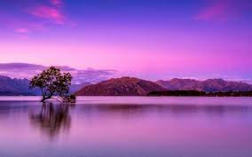 Used binoculars to get a better view. Hintergrundbilder Pink Lake View Amazing Pink Nature View 1280x800 Jaysaltonart 1550757 Hintergrundbilder Wallhere