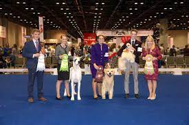 Four Teens Earn Top Honors In 2019 Junior Showmanship Finals
