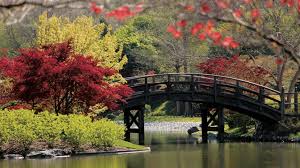 Missouri Botanical Gardens Daily Escape Travel Channel Missouri Botanical Garden St Louis Botanical Garden Botanical Gardens