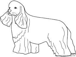 Cocker spaniel coloring page for adult. Coloring Dogs Page Cocker Spaniel