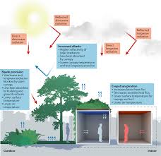Heat is transferred when the air streams flow crossly through the channels, and fresh air and exhaust air is totally separated. Greenery As A Mitigation And Adaptation Strategy To Urban Heat Nature Reviews Earth Environment