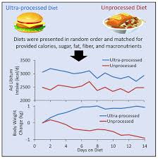 Image result for Body Composition Changes with Aging