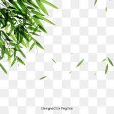 Green Bamboo Leaves Falling Material Bamboo Bamboo Leaves Leaf Png Transparent Image And Clipart For Free Download Leaf Images Watercolor Leaves Leaf Background