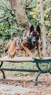 Hartford Police Department...