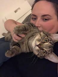 Toys aren't enough to keep my 2-year-old adopted dog busy