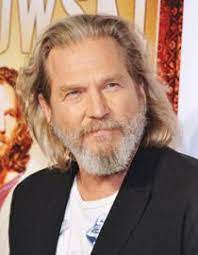 Men S Grey Hair Tips Long Hair Styles Men Mens Grey Hair Grey Hair