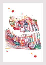 10 dibujos faciles con acuarelas para ninos ayayhome. Ninos Dientes Arte Imprimir Dientes Caducifolios Acuarela Arte Etsy Arte Dental Dental Diente Dibujo