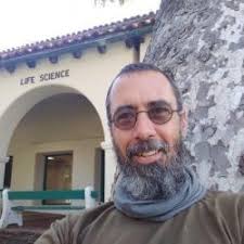 Encountering Giants: Inspiring Moments with Whales