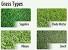 Couch Grass Couch Lawn